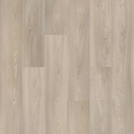 Shaw Floors Resilient Residential Praxis Plank Morris
