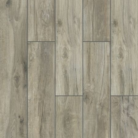 Shaw Floors Ceramic Solutions Savannah 8x48 Silver