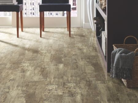 Shaw Floors Resilient Residential Paramount 512c Plus Jade Oak
