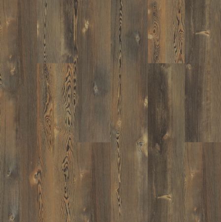 Shaw Floors SFA Coastal Pine 720c Plus Earthy Pine