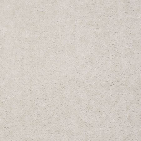 Shaw Floors Atherton Ermine