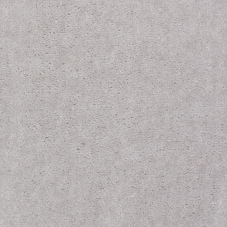 Shaw Floors Atherton Jack Frost