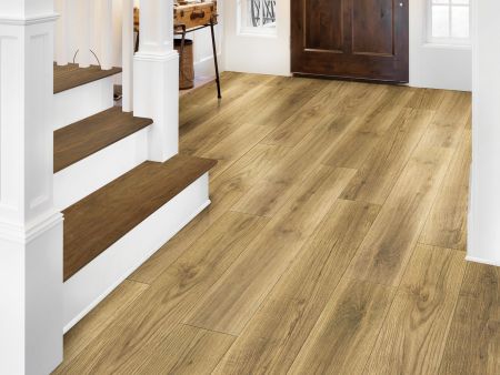 Shaw Floors SFA Sabine Hill Plus Tesora