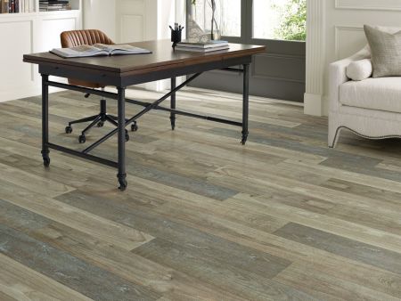 Shaw Floors SFA Antica HD Plus Prateria