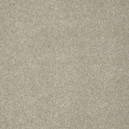 Shaw Floors Anso Colorwall Design Texture Gold Warm Oatmeal