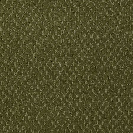 Philadelphia Commercial Latest Trend Woodland