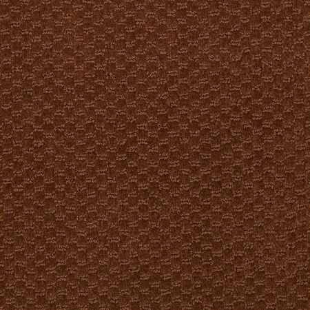 Philadelphia Commercial Latest Trend Brown Bear