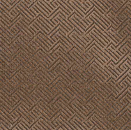 Philadelphia Commercial Tread On Me Mesa Brown