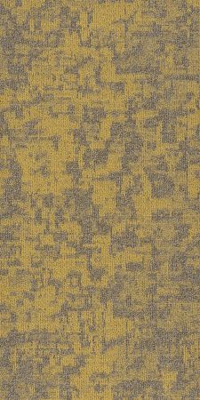 Philadelphia Commercial Modern Terrain Arid Monadnock