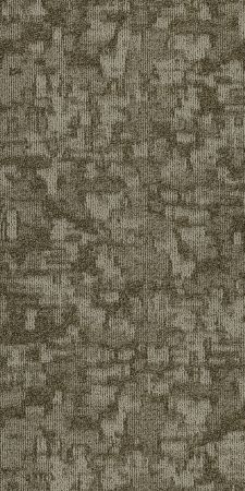 Philadelphia Commercial Modern Terrain Arid Salt Flat