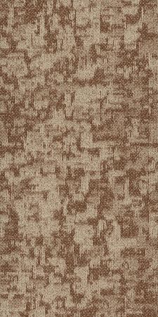 Philadelphia Commercial Modern Terrain Arid Mesa