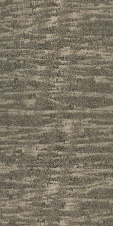 Philadelphia Commercial Modern Terrain Tidewater Butte