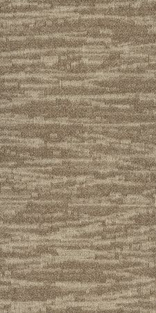 Philadelphia Commercial Modern Terrain Tidewater Dunes