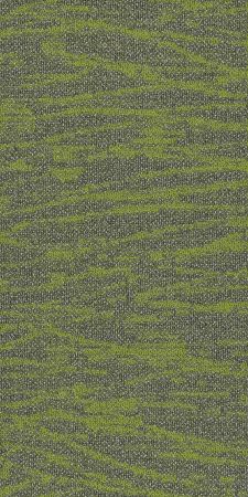 Philadelphia Commercial Modern Terrain Tidewater Taiga