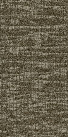 Philadelphia Commercial Modern Terrain Tidewater Salt Flat