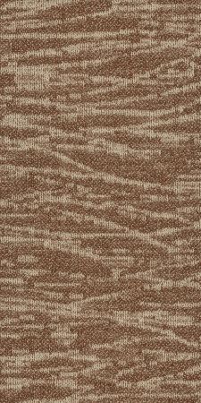 Philadelphia Commercial Modern Terrain Tidewater Mesa