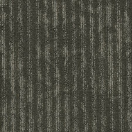 Shaw Floors Cultured Collection Esthetic Composition