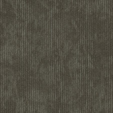 Shaw Floors Cultured Collection Esthetic Inherent