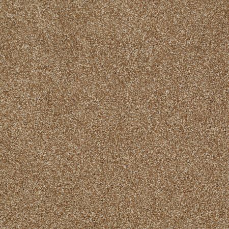 Shaw Floors Shaw Flooring Gallery Canvas Leather Bound