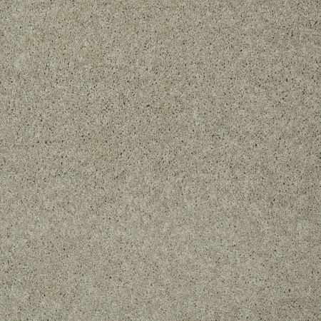 Shaw Floors Inspired By III Cityscape