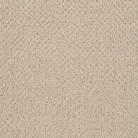 Shaw Floors Shaw Flooring Gallery Subtle Shimmer Loop Clay Stone