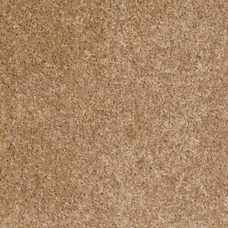 Shaw Floors Shaw Design Center Kentland 12' Reed