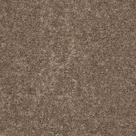 Shaw Floors Shaw Design Center Royal Portrush II 15 Hearth Stone