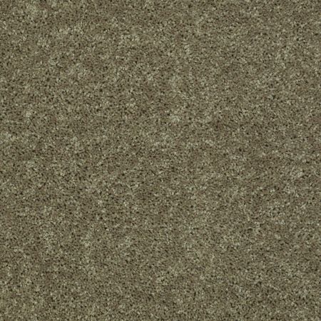 Shaw Floors Shaw Design Center Royal Portrush III 12' Aloe