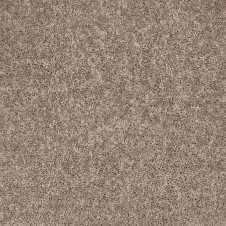 Shaw Floors Shaw Design Center Royal Portrush III 12' River Slate
