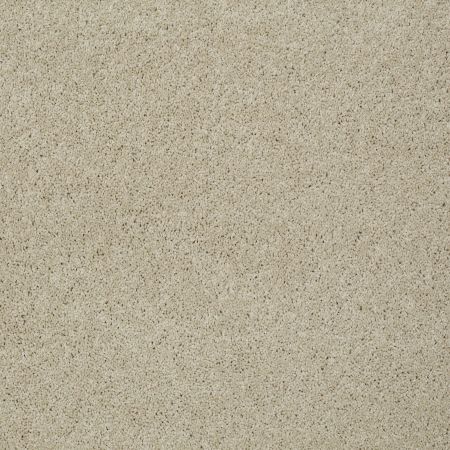 Shaw Floors Shaw Design Center Luxury Bay I French Linen