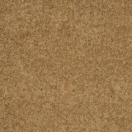 Shaw Floors Shaw Design Center Luxury Bay III Country Wheat