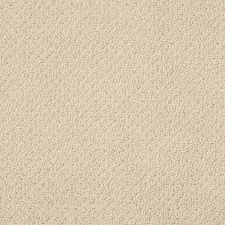 Shaw Floors Shaw Design Center Proven Identity Loop Mesa