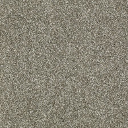 Shaw Floors Shaw Design Center Sun Drenched Silver Sage