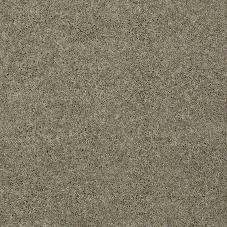 Shaw Floors Shaw Design Center My Destination I Smooth Slate