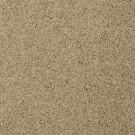 Shaw Floors Shaw Design Center My Destination II Taffeta