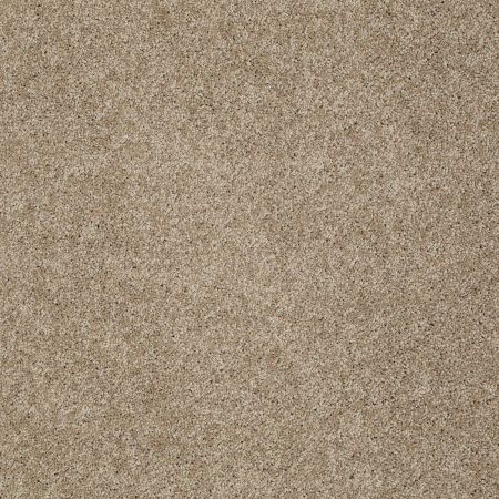 Shaw Floors Shaw Design Center My Destination III Cappuccino