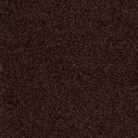 Shaw Floors Shaw Design Center Free Time Truffle