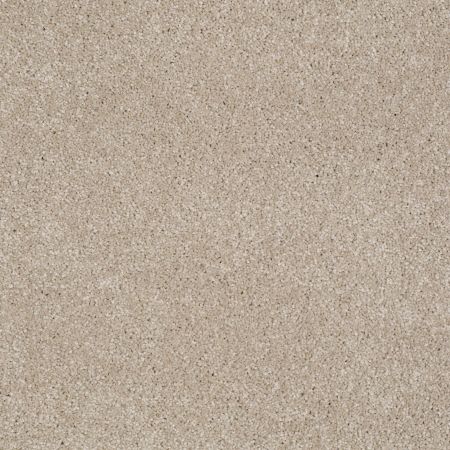 Shaw Floors Shaw Design Center Fantastical French Canvas