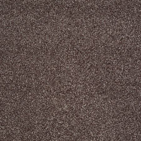 Shaw Floors Shaw Design Center Fantastical Fudge Ripple