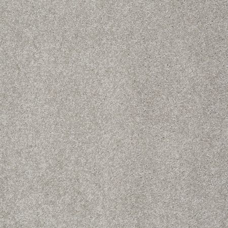 Shaw Floors Foundations Take The Floor Texture I Anchor