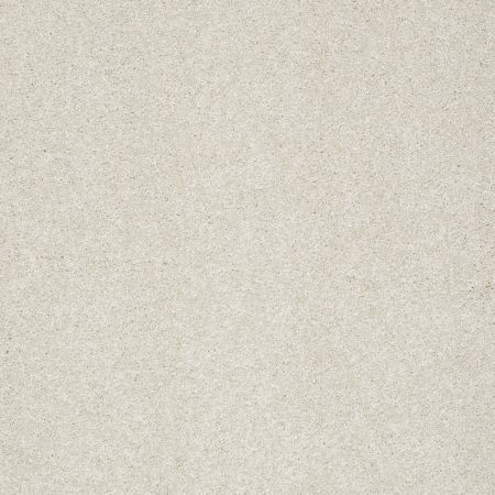 Shaw Floors Foundations Take The Floor Texture II Alpaca