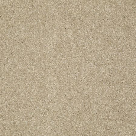 Shaw Floors Foundations Take The Floor Texture II Hazelnut