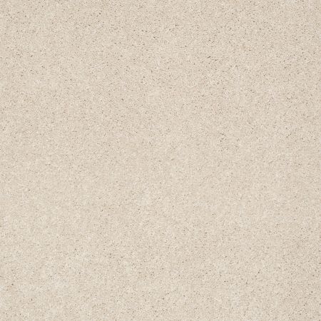Shaw Floors Foundations Take The Floor Texture Blue Patience
