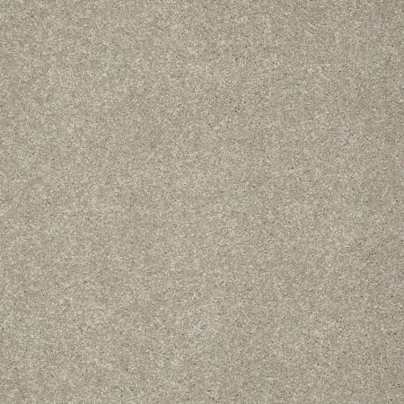 Shaw Floors Foundations Take The Floor Texture Blue Threshold