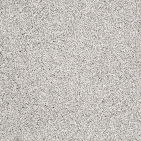 Shaw Floors Foundations Take The Floor Tonal Blue Classique