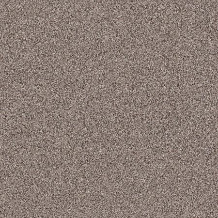 Shaw Floors Foundations Take The Floor Tonal Blue Tundra