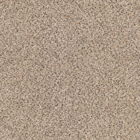 Shaw Floors Foundations Take The Floor Accent I Desert Sunrise