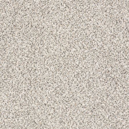 Shaw Floors Foundations Take The Floor Accent II Avalanche