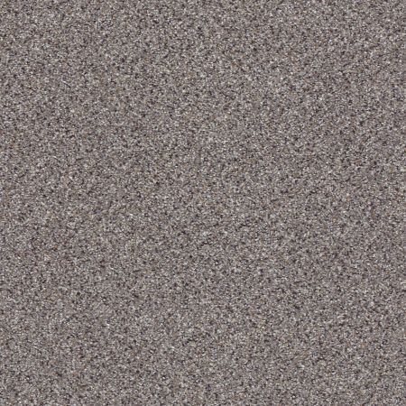 Shaw Floors Foundations Take The Floor Accent II Soapstone