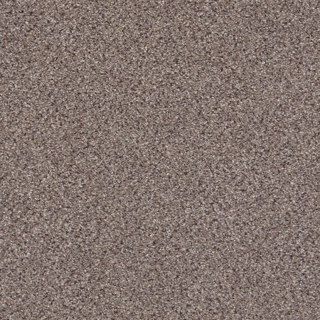 Shaw Floors Foundations Take The Floor Accent II Storm